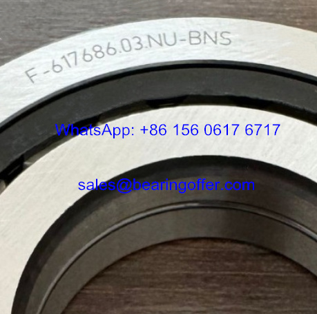 F-617686.03.NU-BNS Gearbox Bearing 42x88x18.5 Roller Bearing F-617686.03 - Stock for Sale