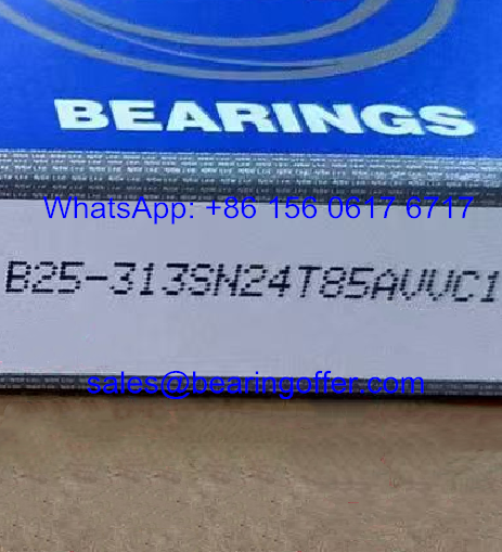 B25-313SN24T85AVVC1 Motor Bearing 25*52*20.6 Ball Bearing B25-313 - Stock for Sale