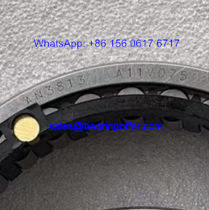 AN3813 Hydraulic Pump Bearing A11V075 Roller Bearing - Stock for Sale