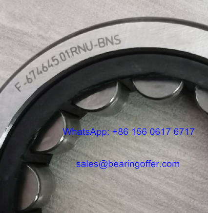 F-674645.01.RNU-BNS Reducer Bearing 37*62*15 Roller Bearing F-674645.01 - Stock for Sale