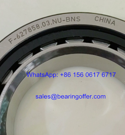 F-627858.03.NU Gearbox Bearing 55x90x18 Roller Bearing - Stock for Sale