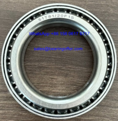 51T81/20F1S Differential Bearing 51x81x20 Roller Bearing 51T81/20 - Stock for Sale