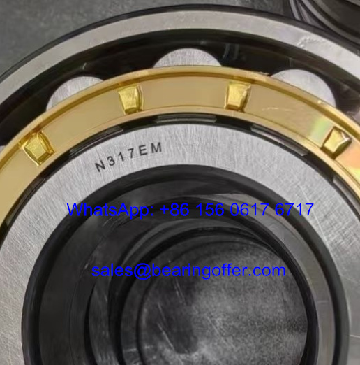 N317EM Cylindrical Roller Bearing 85x180x41 Rolling Bearing - Stock for Sale