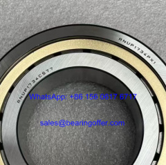 RNUP1734PX1 Hydraulic Pump Bearing RNUP1734CS77 Roller Bearing - Stock for Sale
