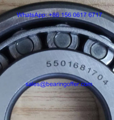 5501681704/5501681705 Automobile Bearing 30x72x21 Roller Bearing - Stock for Sale