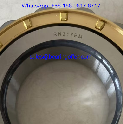 RN317EM Cylindrical Roller Bearing 85x160x41 Rolling Bearing RN317 - Stock for Sale