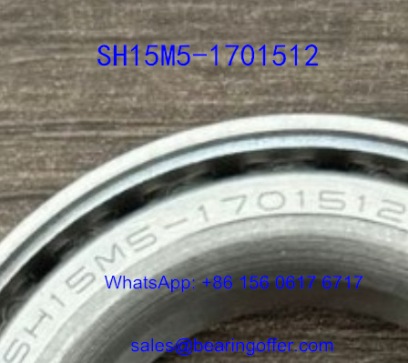 SH15M5-1701512 Automobile Bearing 38x63x18 Roller Bearing - Stock for Sale