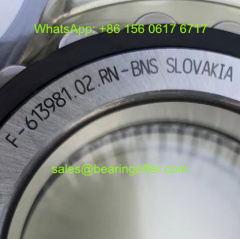 F-613981.02 Gearbox Bearing F-613981 Roller Bearing - Stock for Sale