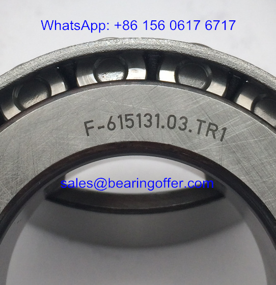 F-615131.03 Differential Bearing 30*62*17 Roller Bearing - Stock for Sale