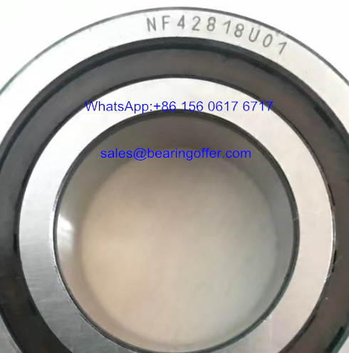NF42818U01 Automobile Bearing N42818S02 Roller Bearing N42818 - Stock for Sale