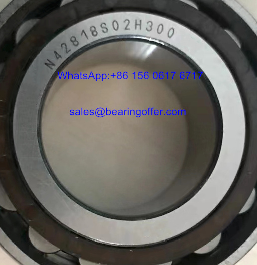 NF42818U01 Automobile Bearing N42818S02 Roller Bearing N42818 - Stock for Sale