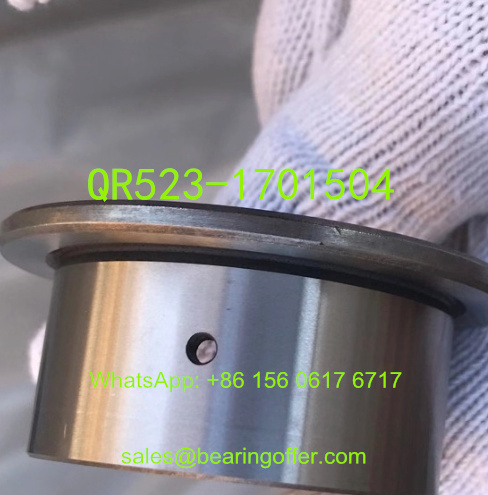 QR523-1701504 Shaft Sleeve 45.2x53x28.5 Inner Ring IR45.25328.5 - Stock for Sale