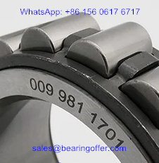 0099811701 Gear Reducer Bearing 63x97.5x34.8 Roller Bearing 009 981 1701 - Stock for Sale