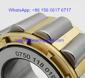 0750 118 019 Gearbox Bearing 0750118019 Roller Bearing - Stock for Sale