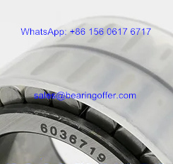 6036719 Transmission Bearing 6036719 Roller Bearing - Stock for Sale