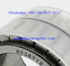 6036719 Transmission Bearing 6036719 Roller Bearing - Stock for Sale