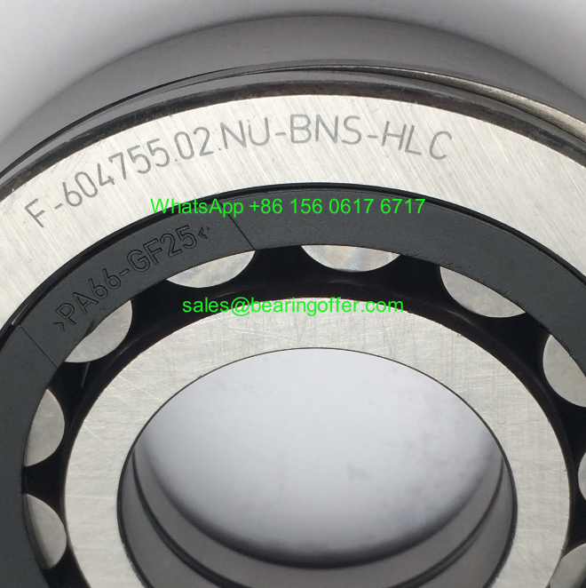F-604755.02.NU-BNS-HLC Gearbox Bearing 35x80x18 Roller Bearing - Stock for Sale