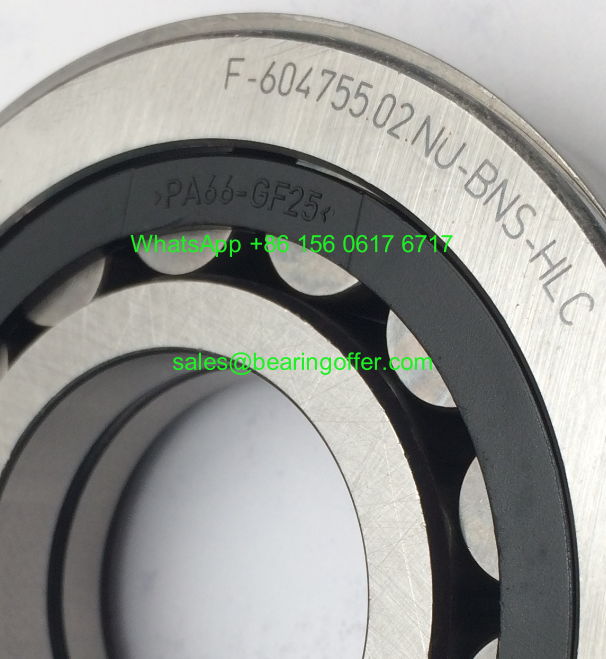 F-604755.02.NU Gearbox Bearing F-604755.02 Roller Bearing F-604755 - Stock for Sale