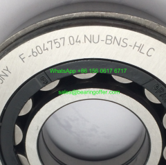 F-604757.04 Gearbox Bearing F-604757 Roller Bearing - Stock for Sale