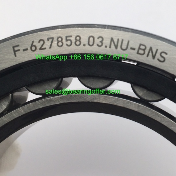 F-627858.03.NU-BNS Gearbox Bearing 55*90*18 Roller Bearing - Stock for Sale
