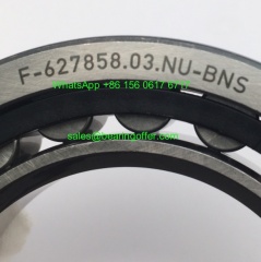 F-627858.03.NU-BNS Gearbox Bearing 55*90*18 Roller Bearing - Stock for Sale