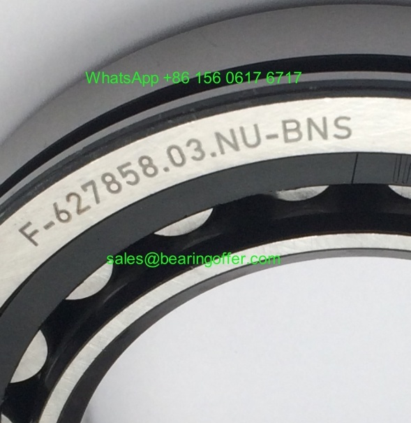 F-627858.03.NU Gearbox Bearing 55x90x18 Roller Bearing - Stock for Sale
