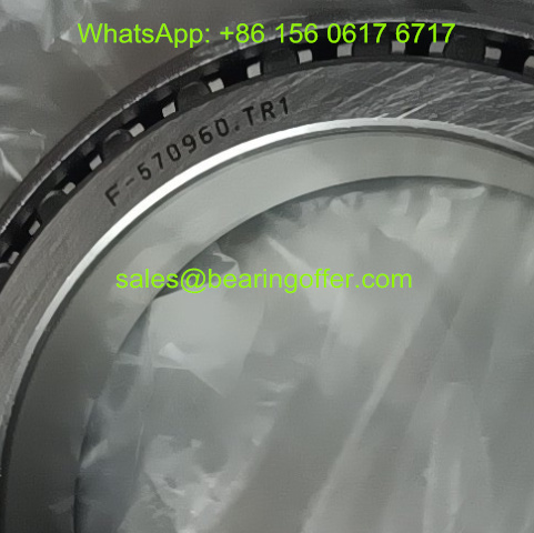 F-570960.TR1 Automobile Bearing F-570960.TRI Roller Bearing F-570960 - Stock for Sale