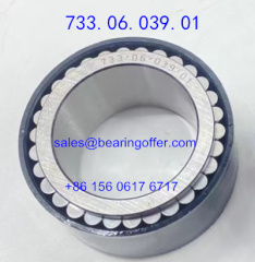 733.06.039.01 Gearbox Bearing 733-06-039-01 Roller Bearing 7330603901 - Stock for Sale