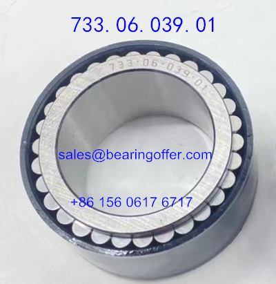 733.06.039.01 Gearbox Bearing 733-06-039-01 Roller Bearing 7330603901 - Stock for Sale