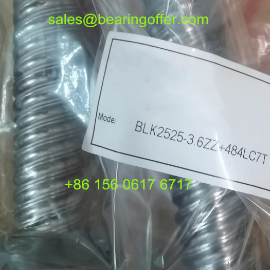 BLK2525-3.6ZZ+484LC7T Ball Screw BLK2525-3.6 Rolled Ball Screws - Stock for Sale
