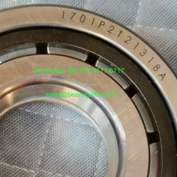 1701P2T21318A Automobile Bearing 50*110*27 Roller Bearing NUP310ETN1 - Stock for Sale