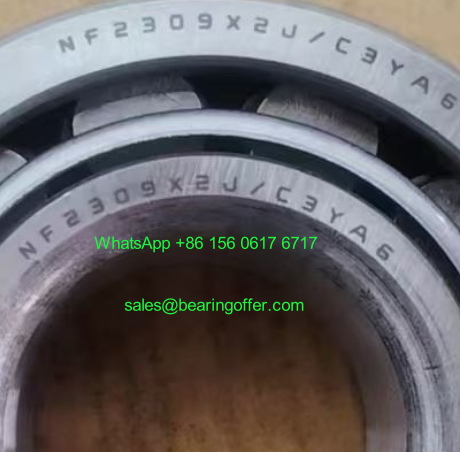 NF2309X2J/C3YA6 Gearbox Bearing 45x100x31 Roller Bearing - Stock for Sale