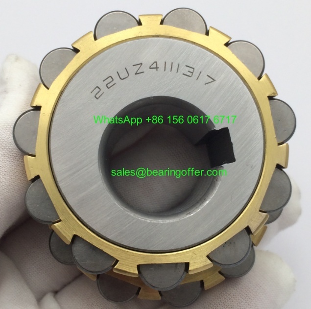 22UZ4111317 Eccentric Bearing 22*58*32 Roller Bearing - Stock for Sale