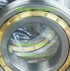 7DS180-1701223-2 Gearbox Bearing 75x130x25 Roller Bearing - Stock for Sale