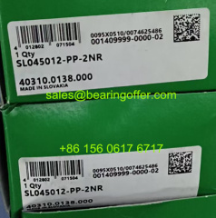 40310.0138.000 Cylindrical Roller Bearing 60*95*46 Rolling Bearing 40310-0138-000 - Stock for Sale