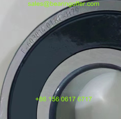 F-603814.01.KL-H79 Automobile Bearing 30*72*19 Ball Bearing F-603814.01 - Stock for Sale
