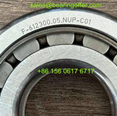 F-612300.05.NUP-C01 Automotive Bearing 33x75x19 Roller Bearing - Stock for Sale