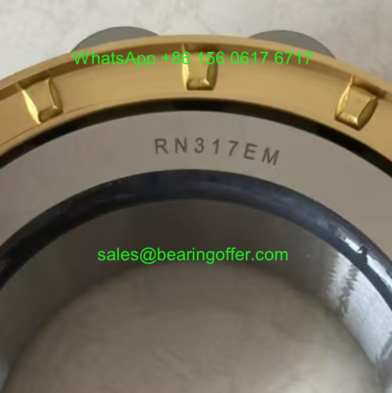 RN317EM Cylindrical Roller Bearing 85x160x41 Rolling Bearing RN317 - Stock for Sale