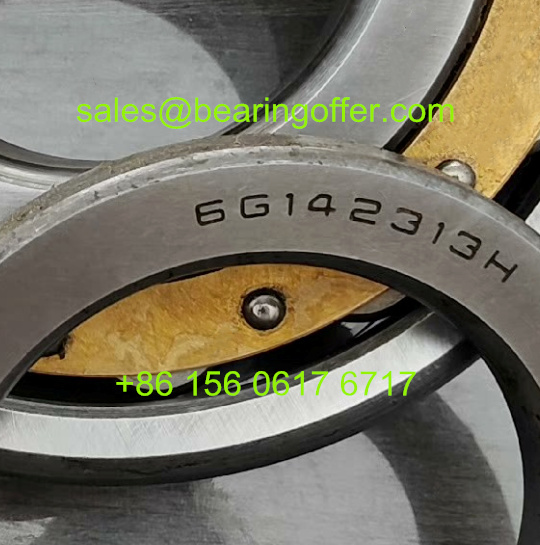 6G142313 Cylindrical Roller Bearing 6G142313 Rolling Bearing - Stock for Sale
