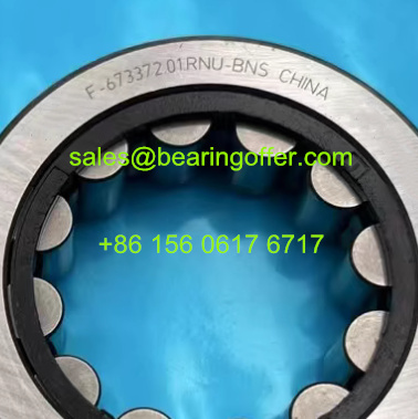 F-673372.01.RNU-BNS Automobile Bearing 34*62*17 Roller Bearing F-673372.01 - Stock for Sale