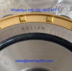 RN219M Cylindrical Roller Bearing 95x151.5x32 Rolling Bearing 502219H - Stock for Sale