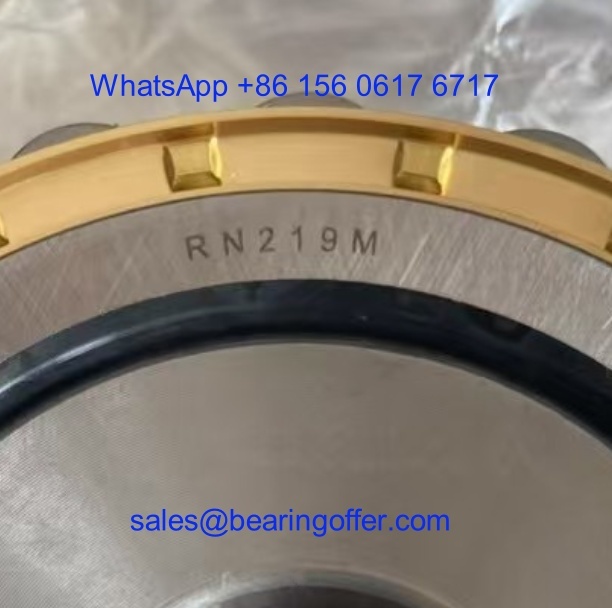 RN219M Cylindrical Roller Bearing 95x151.5x32 Rolling Bearing 502219H - Stock for Sale