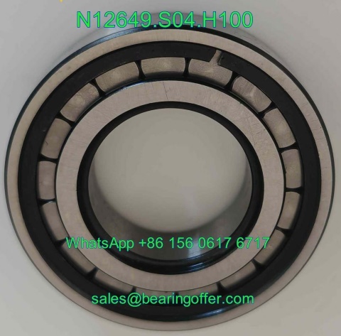 N.12649.S04.H100 Automotive Bearing 36x72x17 Roller Bearing N12649S04H100 - Stock for Sale