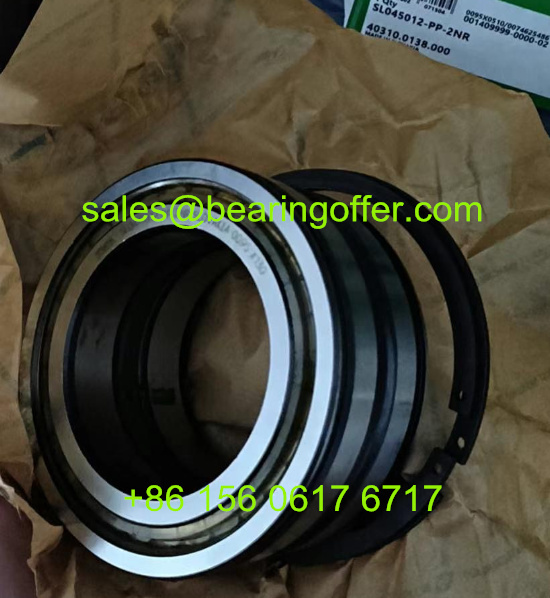40310.0138.000 Cylindrical Roller Bearing 60*95*46 Rolling Bearing 40310-0138-000 - Stock for Sale