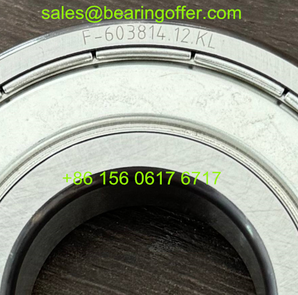 F-603814.12.KL Automobile Bearing 30*72*19 Ball Bearing F-603814.12 - Stock for Sale
