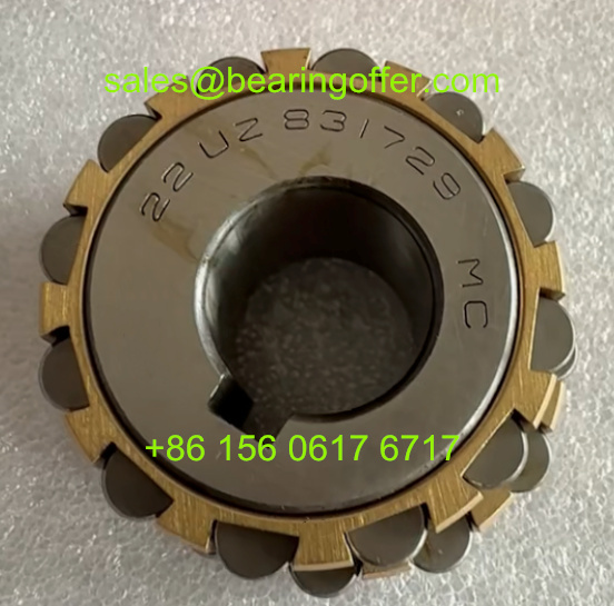 22UZ831729MC Eccentric Bearings 22*58*32 Roller Bearing - Stock for Sale