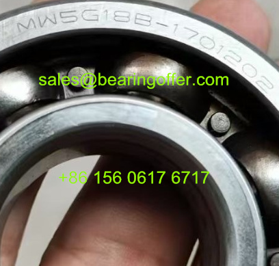 MW5G18B-1701202 Automobile Bearing 29x68x18 Ball Bearing - Stock for Sale
