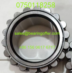 0750118258 Gearbox Bearing 67x101x38 Roller Bearing 0750 118 258 - Stock for Sale