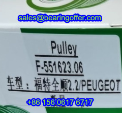 F-551623.06 Alternator Pulley Bearing F-551623-06 Clutch Bearing - Stock for Sale
