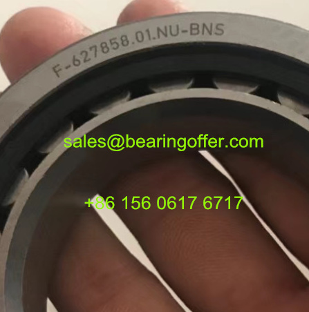 F-627858.01.NU-BNS Gearbox Bearing 55X90X18 Auto Bearing - Stock for Sale